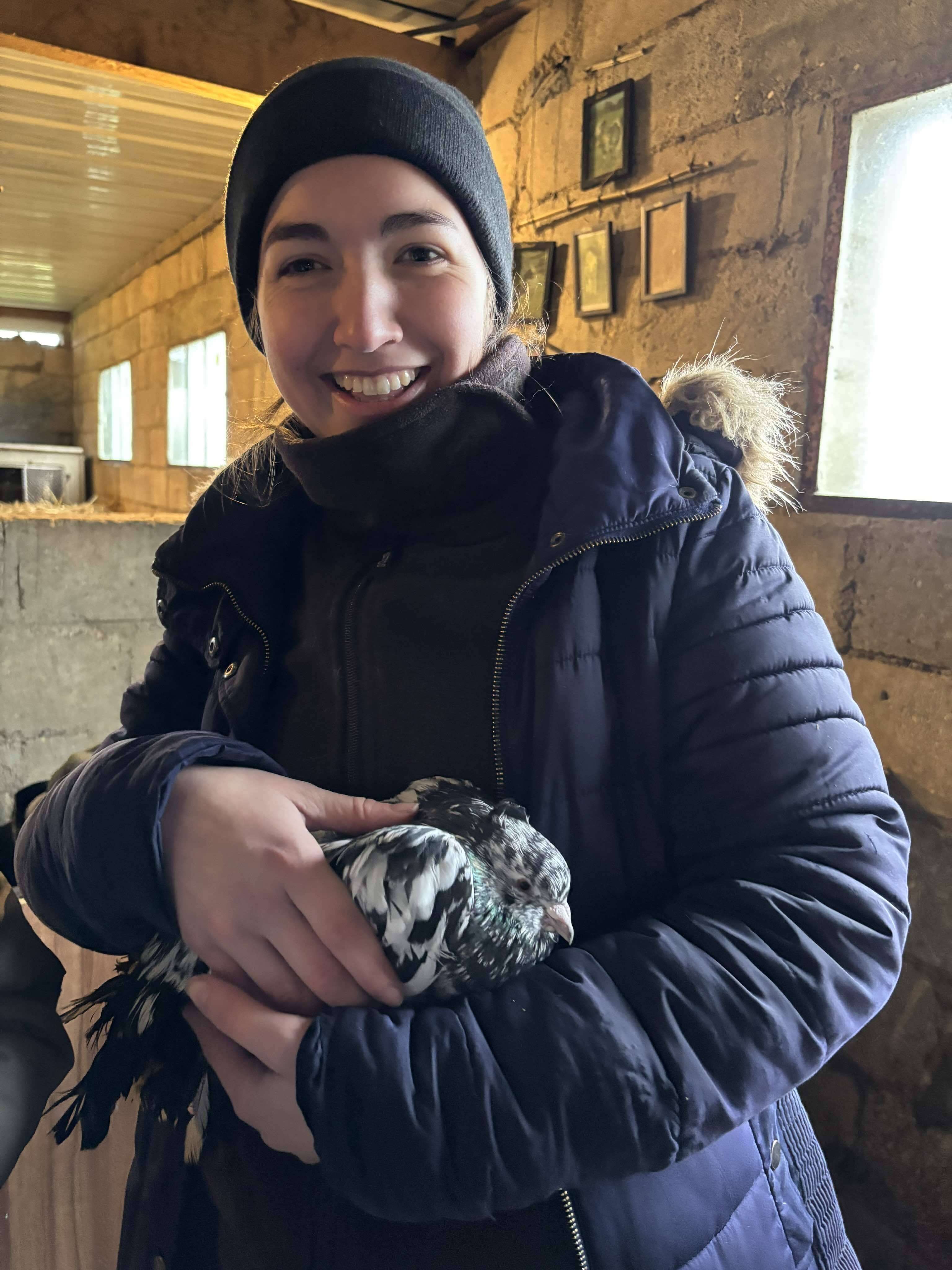 Nouveaux Animaux de Compagnie